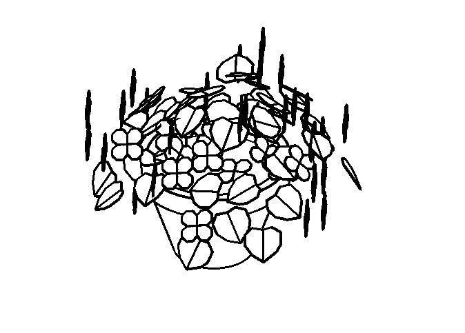 BIM资料|Revit族库-建筑-场地建模族-植物（rfa，共49个）