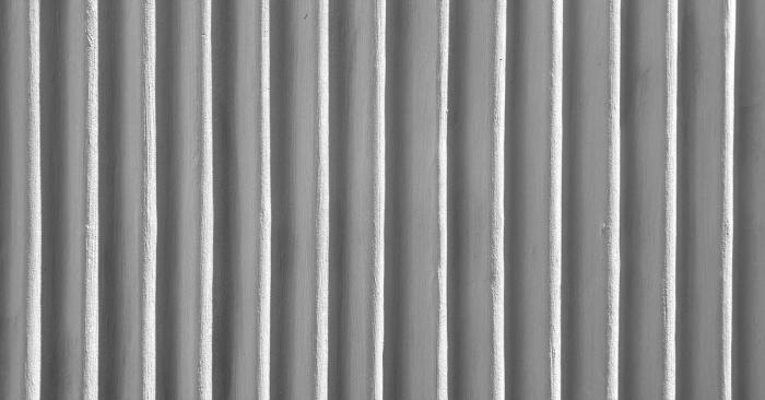 BIM建筑|富有动感的雕塑：印度“森林”公寓 / The Purple Ink Studio