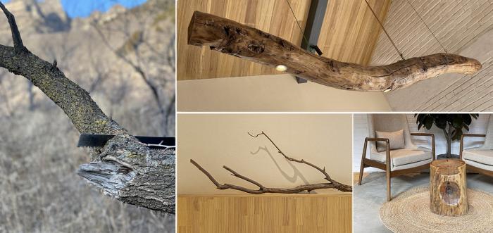 BIM建筑|小龙门百年“福”字院重获新生 | CCDI卝智室内设计