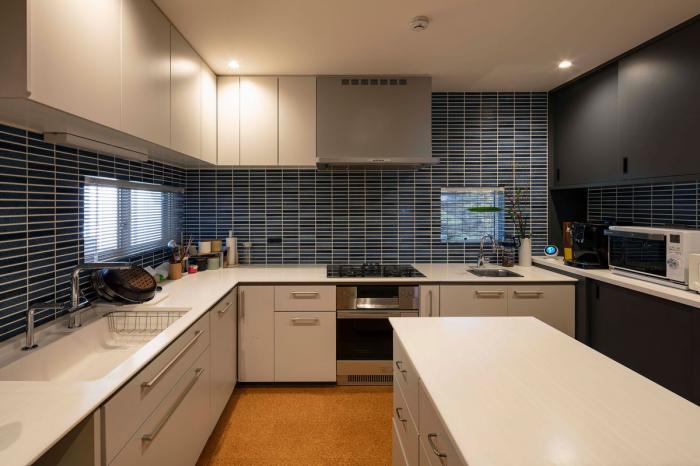 BIM建筑|质朴的静修居所——多度津町私宅 / 奥野崇建筑设计事务所