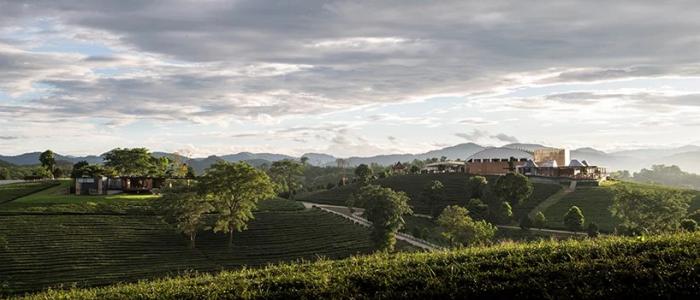 BIM建筑|泰国Choui Fong咖啡茶座2号 / IDIN Architects