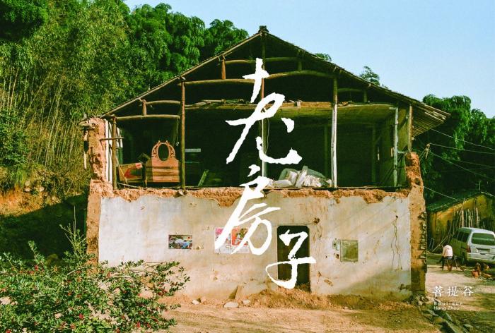 BIM建筑|杭州菩提谷度假民宿 / 中国美术学院风景建筑设计研究总院