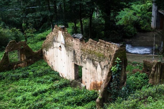 BIM建筑|杭州菩提谷度假民宿 / 中国美术学院风景建筑设计研究总院