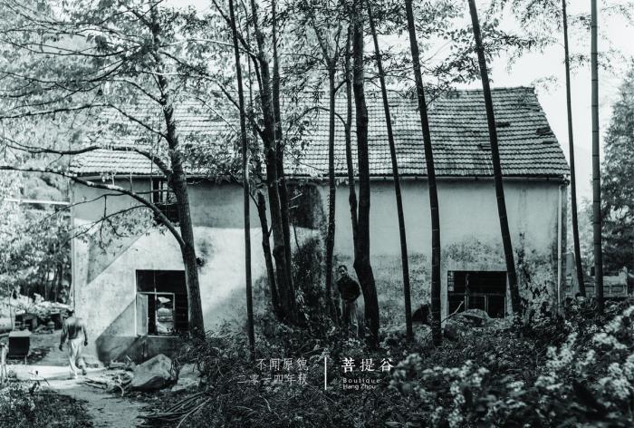 BIM建筑|杭州菩提谷度假民宿 / 中国美术学院风景建筑设计研究总院