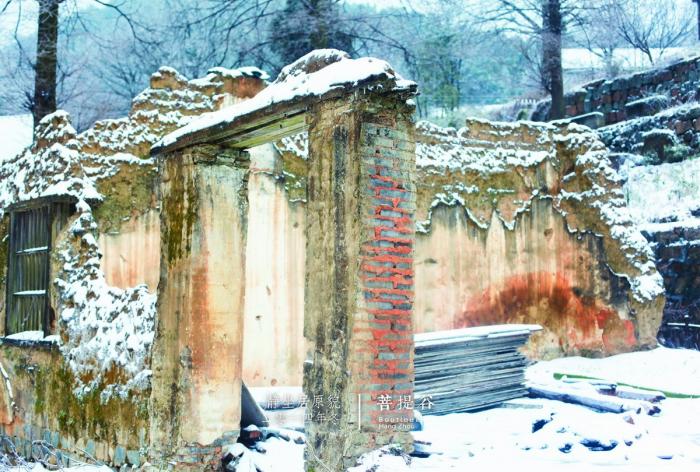 BIM建筑|杭州菩提谷度假民宿 / 中国美术学院风景建筑设计研究总院