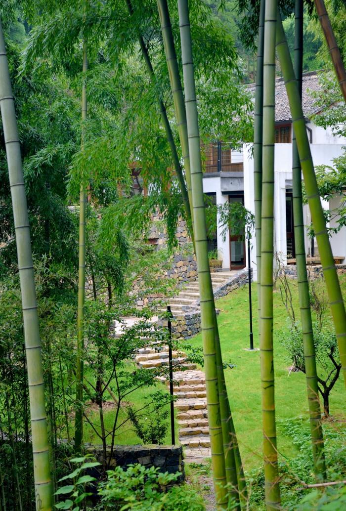 BIM建筑|杭州菩提谷度假民宿 / 中国美术学院风景建筑设计研究总院