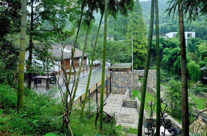 BIM建筑|杭州菩提谷度假民宿 / 中国美术学院风景建筑设计研究总院