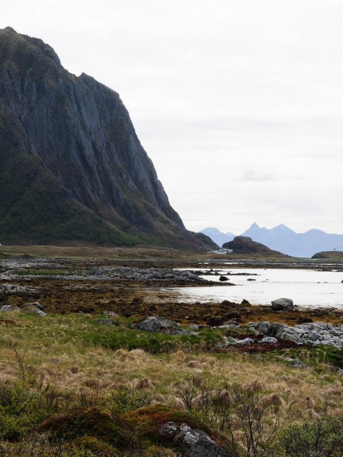 BIM建筑|在折叠混凝土上观海：错乱岩层上的游客中心 / MORFEUS arkitekter