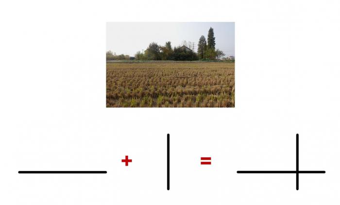 BIM建筑|于空灵之处，觅得静修：江苏扬州观音院 / 上海善祥建筑设计