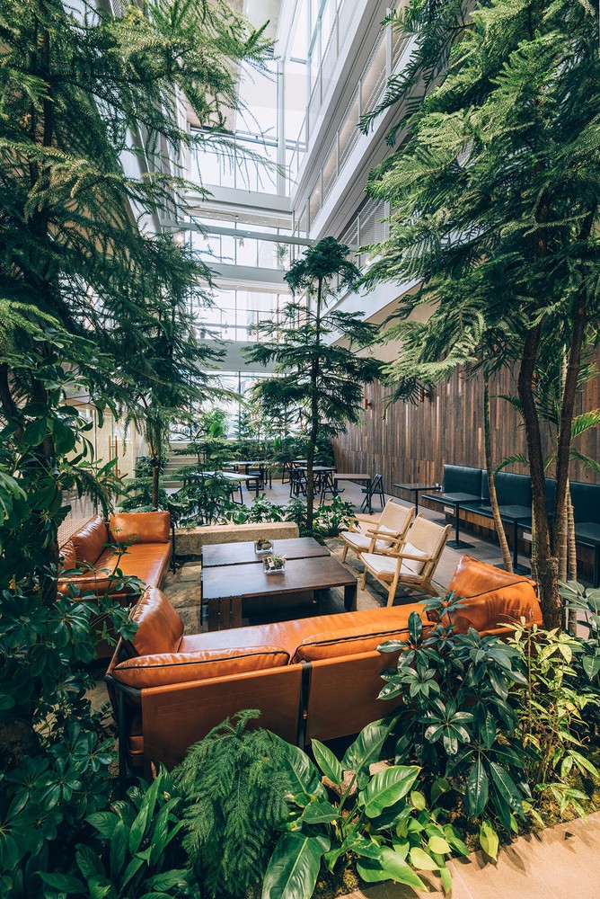 BIM建筑|首尔“树”形公寓 / Bo-DAA