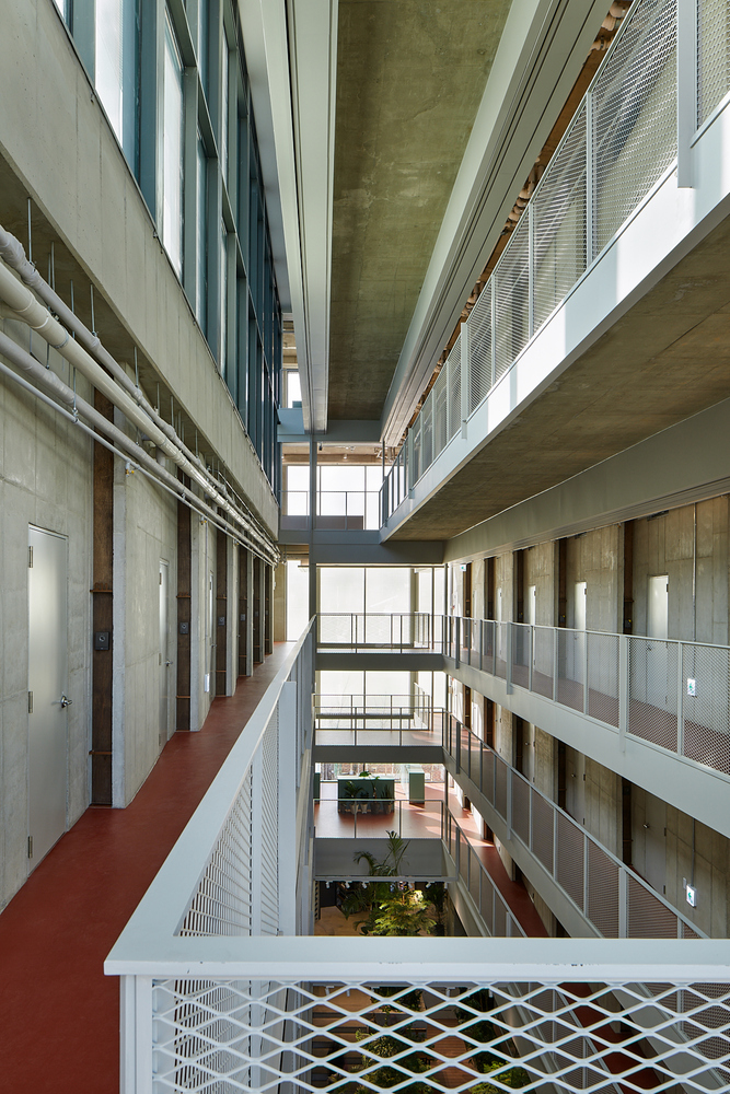 BIM建筑|首尔“树”形公寓 / Bo-DAA