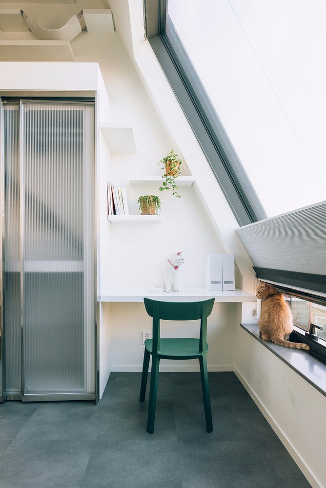 BIM建筑|首尔“树”形公寓 / Bo-DAA