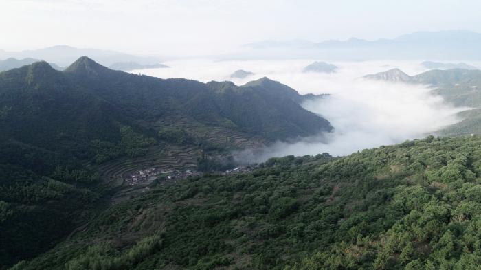 BIM建筑|拾云山房，浙江 / 尌林建筑设计事务所