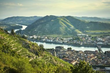 BIM建筑|柔软起伏的白色波浪：德拉斯兄弟酒庄-BIM建筑网