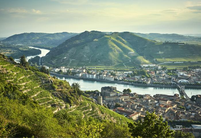 BIM建筑|柔软起伏的白色波浪：德拉斯兄弟酒庄