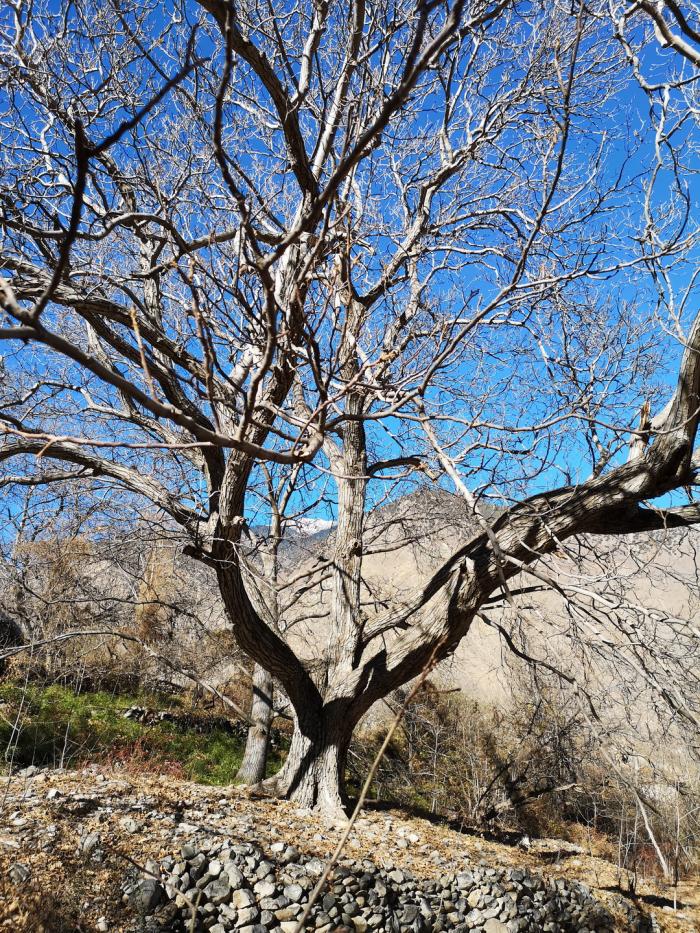 BIM建筑|【演讲现场】以退为进 / 王剑峰