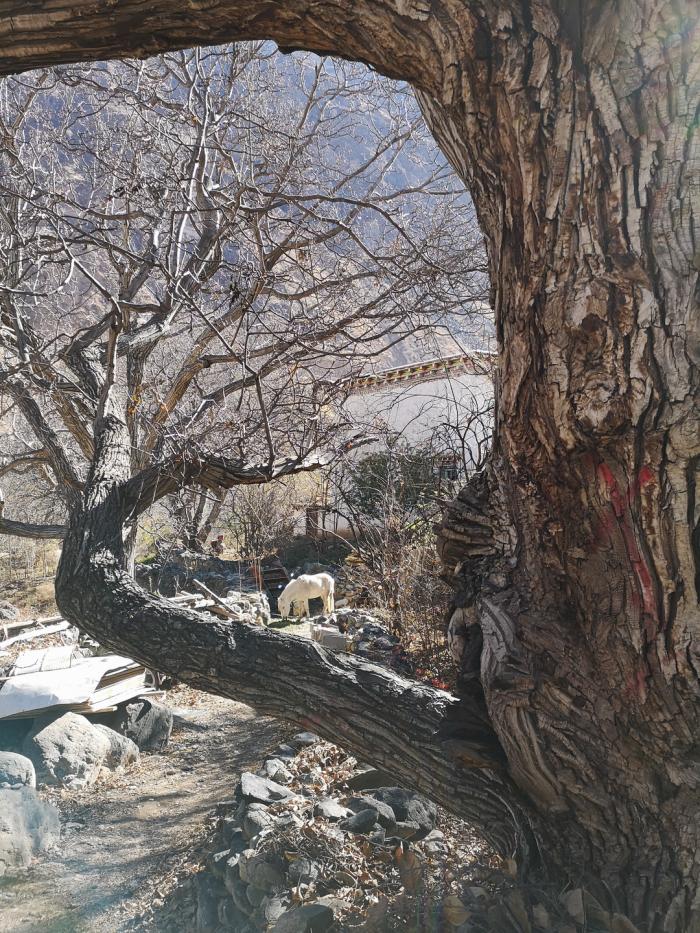 BIM建筑|【演讲现场】以退为进 / 王剑峰