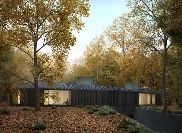 BIM建筑|盘旋于森林之中的“鸟巢”：长岛木屋2.0 / Marchi Architects