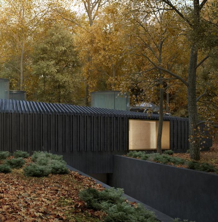 BIM建筑|盘旋于森林之中的“鸟巢”：长岛木屋2.0 / Marchi Architects