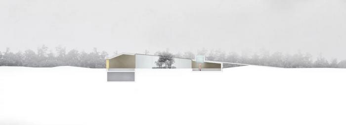 BIM建筑|盘旋于森林之中的“鸟巢”：长岛木屋2.0 / Marchi Architects