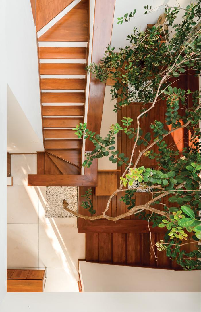 BIM建筑|浓郁咖啡加拉花——斯里兰卡Kodikara住宅