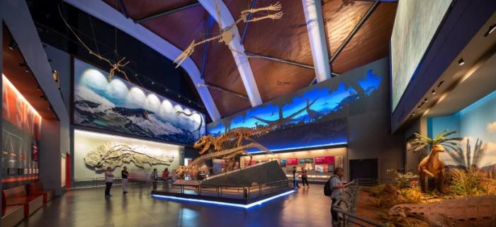 BIM建筑|中国国家海洋博物馆 / COX建筑事务所