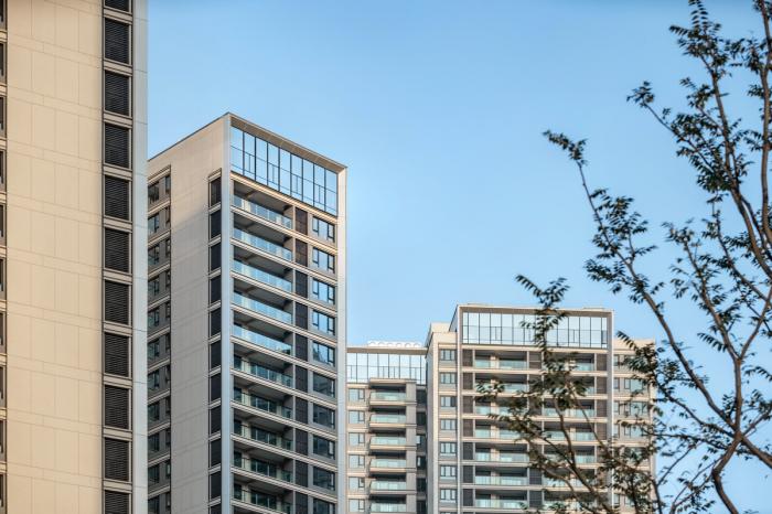 BIM建筑|居所的重新定义——重庆龙湖昱湖壹号·观云 / 成执设计