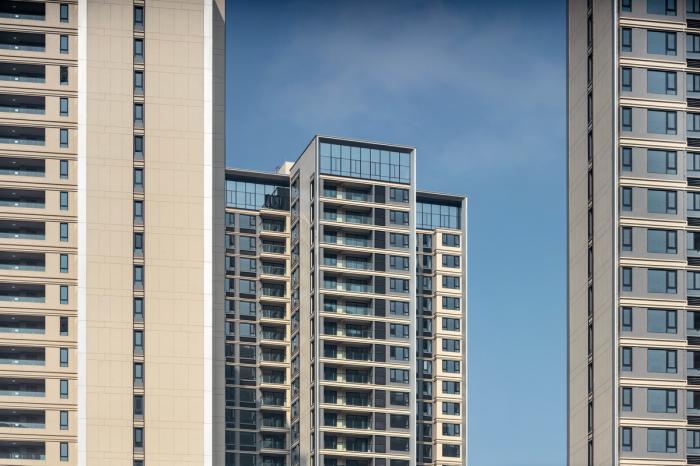 BIM建筑|居所的重新定义——重庆龙湖昱湖壹号·观云 / 成执设计