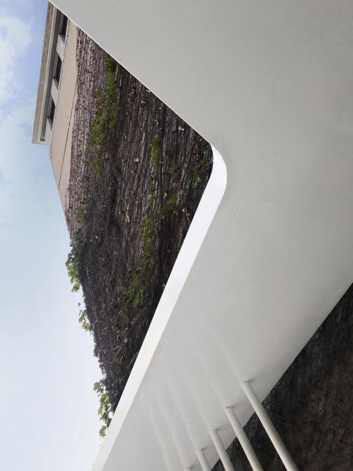 BIM建筑|嫁衣的裙摆——重庆印制一厂山鬼精品酒店改造 / 寻常设计