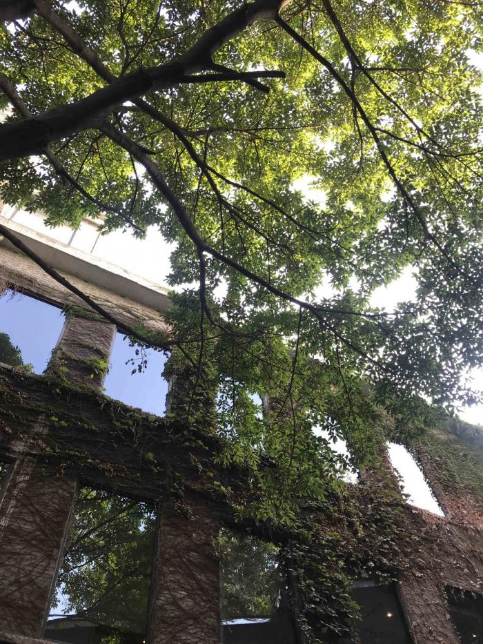 BIM建筑|嫁衣的裙摆——重庆印制一厂山鬼精品酒店改造 / 寻常设计