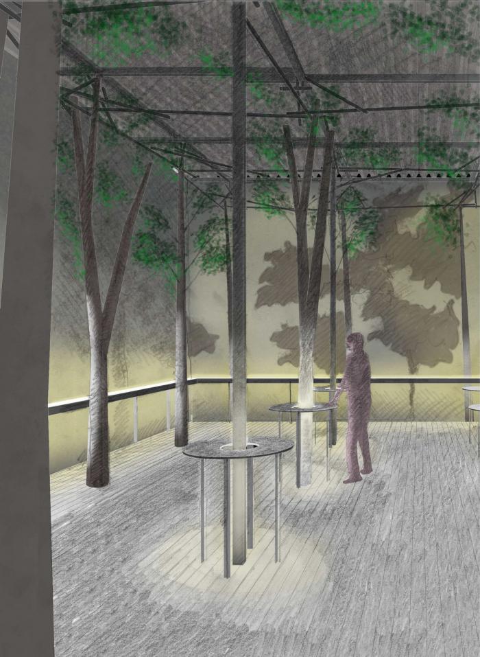 BIM建筑|槙文彦前泽住宅花园“露天剧场+白花亭” / APL design workshop