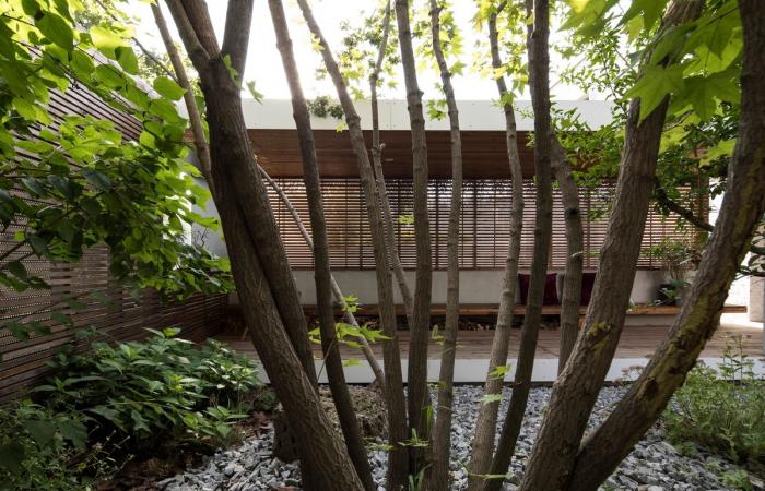 BIM建筑|两重院 / TAOA陶磊建筑