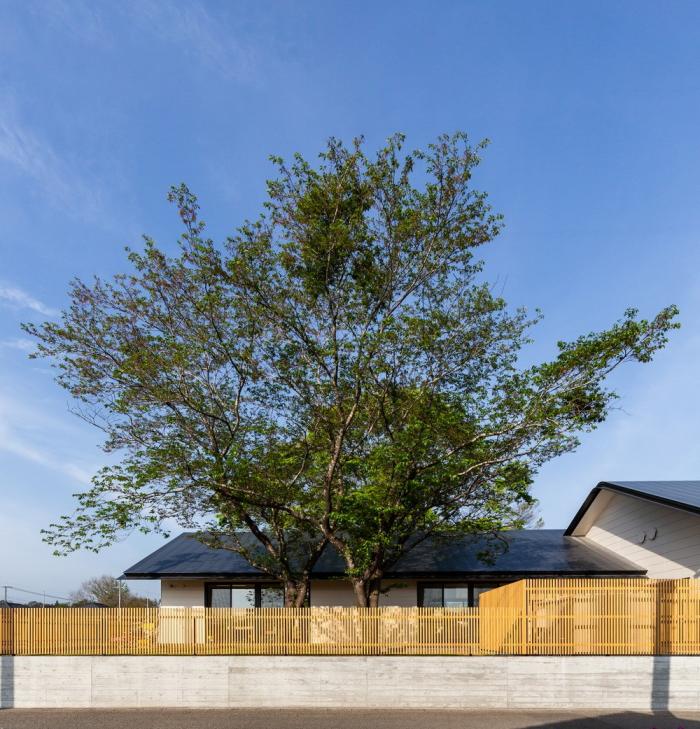 BIM建筑|儿童画里的木屋乐园，MRN幼儿园 / HIBINOSEKKEI +日比野设计