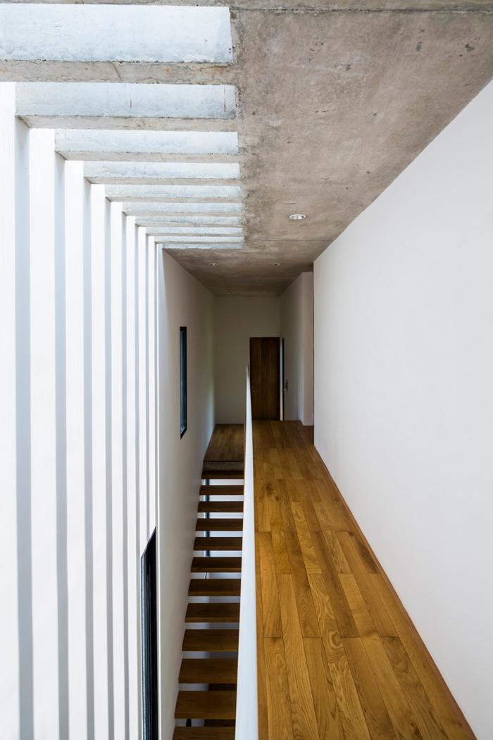 BIM建筑|城市“树屋”，越南Binh住宅 / 武重义建筑事务所