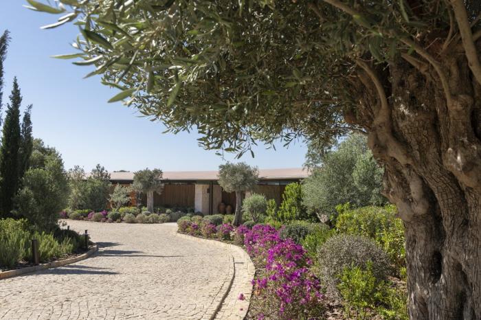 BIM建筑|爱琴海岸安静流淌的暖浪：Dolunay庄园 / Foster + Partners