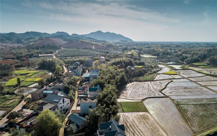 BIM建筑|乡居倒影——龙游后山头28号宅 / 中国美术学院风景建筑设计研究总院