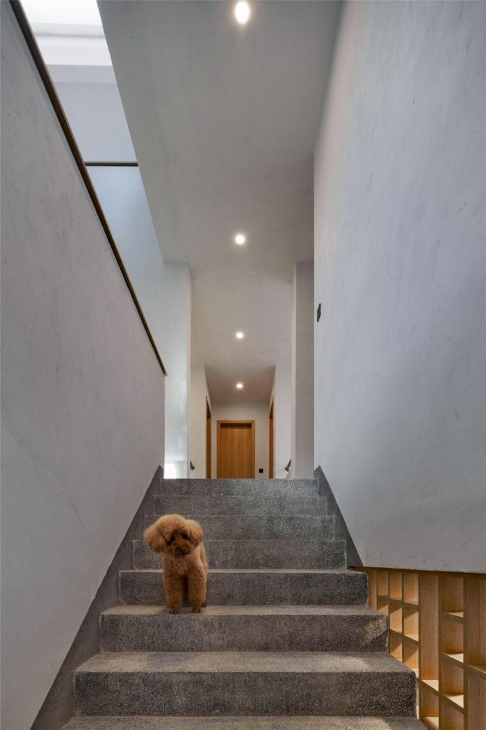 BIM建筑|乡居倒影——龙游后山头28号宅 / 中国美术学院风景建筑设计研究总院