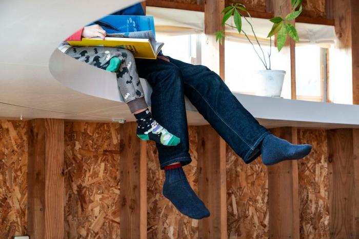 BIM建筑|日本“椭圆天花”住宅