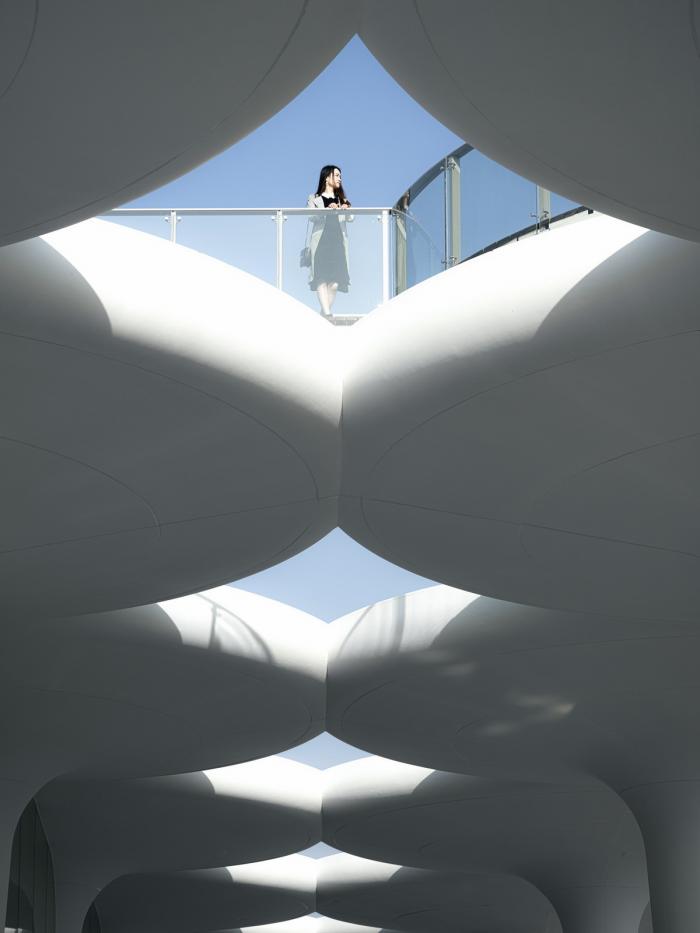 BIM建筑|消解与晕染：临平体育公园配套工程项目 / 筑境设计