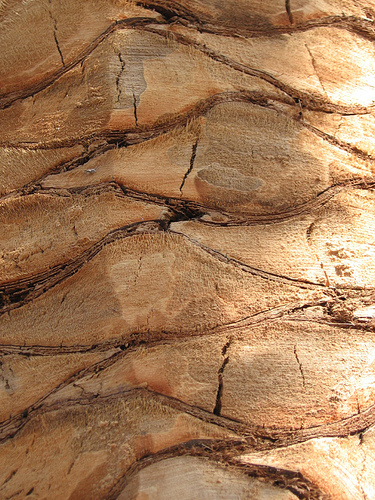 BIM建筑|“西非之门”阿克拉的生态地标，One Airport Square / MCA建筑事务所