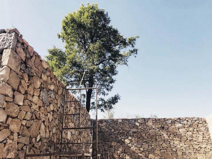 BIM建筑|磐舍 / DK大可建筑设计