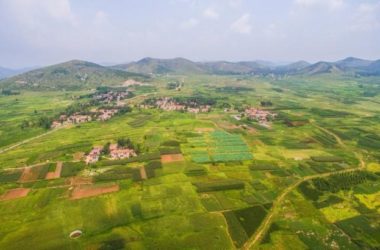 BIM建筑|柿子岭理想村 / 华建集团·上海设计 Free Studio-BIM建筑网