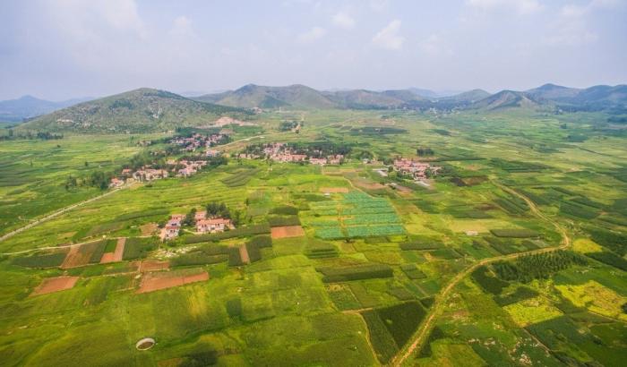 BIM建筑|柿子岭理想村 / 华建集团·上海设计 Free Studio