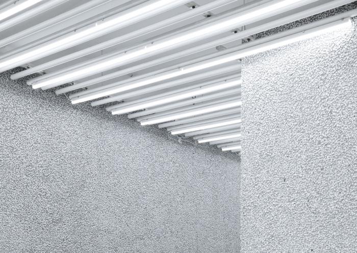 BIM建筑|以生命打破沉寂——花艺表达空间“R SOCIETY” / 0321studio