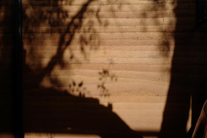 BIM建筑|“崖”——过去与未来的相遇之地 / C+ Architects