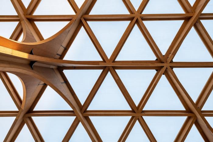 BIM建筑|简单几何勾勒而成的六边形“蜂巢”：杭州浦乐幼儿园杨家墩分园 / goa大象设计