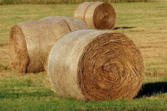 BIM建筑|艾米利亚震后重建系列作品 / MCA建筑事务所