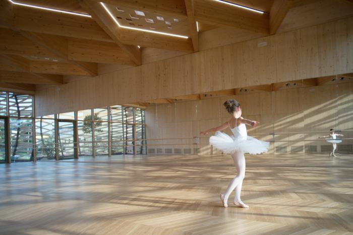 BIM建筑|艾米利亚震后重建系列作品 / MCA建筑事务所