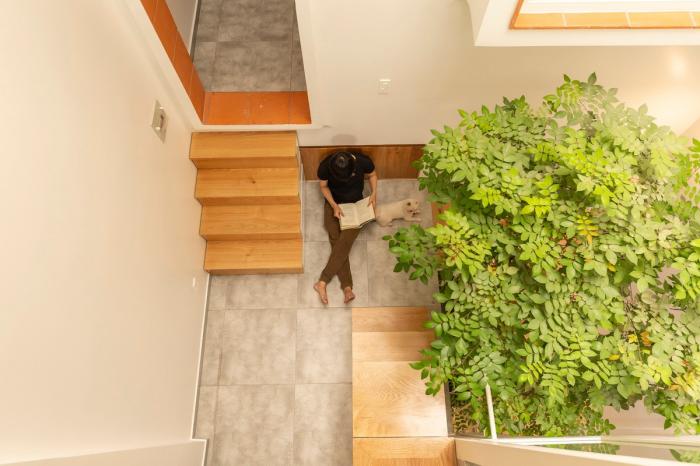 BIM建筑|夹缝中生存——越南双层屋盖住宅