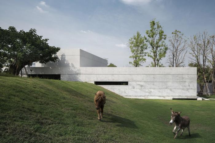 BIM建筑|如风车般堆叠扭转——雨林边缘的住宅